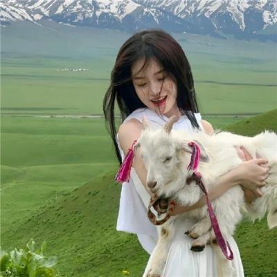 猫儿协奏曲